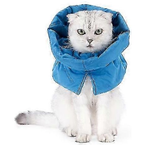 Collier de convalescence pour chat, cône souple et ajustable, collier étanche pour chats, chatons et chiots après une intervention chirurgicale, empêche le léchage - Excellente taille M