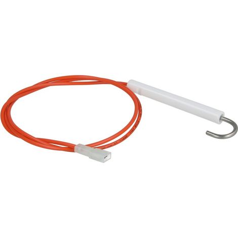 Electrode d'ionisation D10X80 D3 avec câble