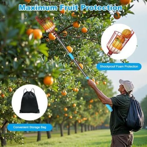 Cueille-Fruit pour Pommes, Poires, Agrumes - Démontable 4M Cueillettes avec Panier Antichoc, Outil de Récolte Léger en Acier Inoxydable pour Jardin, Verger (1/3)