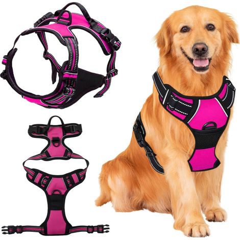 Harnais pour chien , harnais poitrine anti-traction, harnais de sécurité sans traction, harnais pour chiot labrador harnais anti-évasion, rose, XL (1/5)