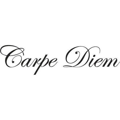 Autocollant décoratif mural Carpe Diem pour salon ou chambre (1/5)
