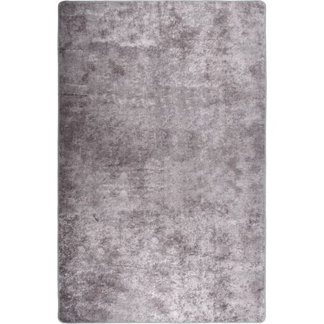 Tapis lavable antidérapant Tapis de salon Tapis d'entrée 80x150 cm Gris 20535 (1/5)