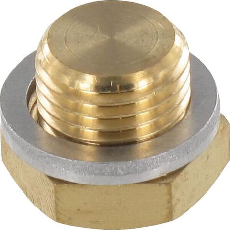 Stopfen tankdeckel DAB pump R00005213