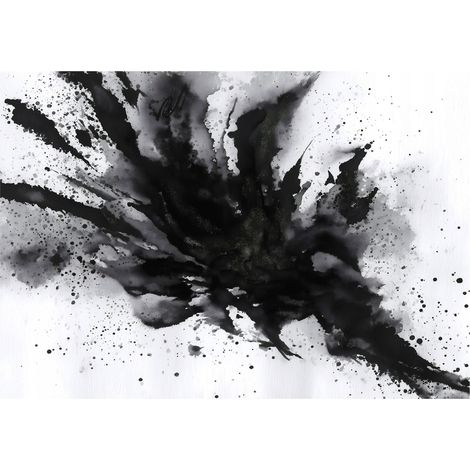 Papier peint mural abstraction noir blanc intissé grand format design intérieur salon chambre pas cher 350x250 cm (1/5)