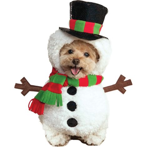 Vêtements chauds de Noël et d'Halloween, cadeau pour chien et chat (1/5)