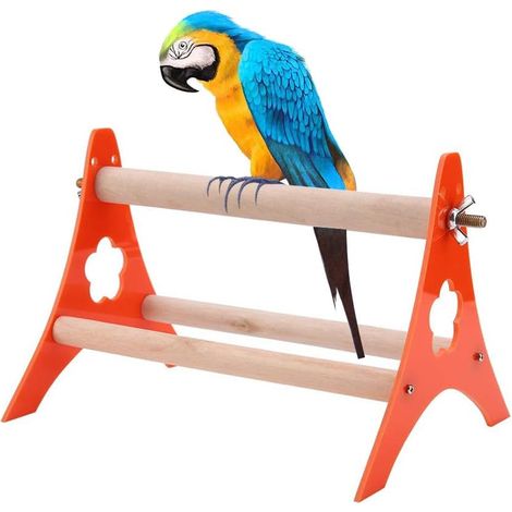 Jouet pour Perroquet avec Baignoire, Perchoir Interactif de Table pour Oiseaux, Support de Jeu et Bain pour Perruche, Cacatoès et Petits Perroquets, Stimulation Mentale et Hygièn (1/5)