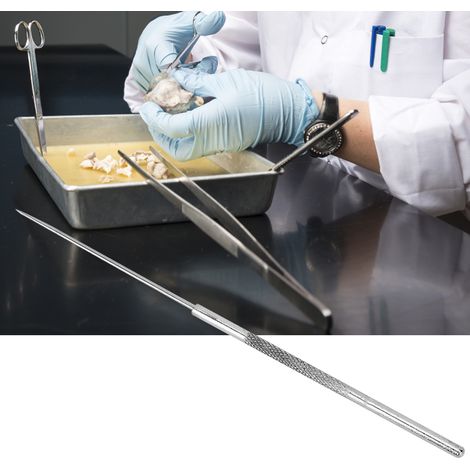 Lot de 5 aiguilles de dissection en acier inoxydable pour dissection d'insectes en anatomie - Matériel de laboratoire (1/5)