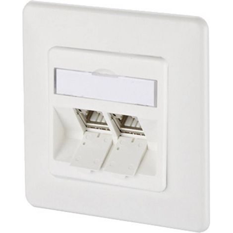 Prise réseau encastré insert avec plaque centrale et châssis CAT 6a 2 ports Metz Connect 130B12D21002-E blanc pur R68391 (1/4)