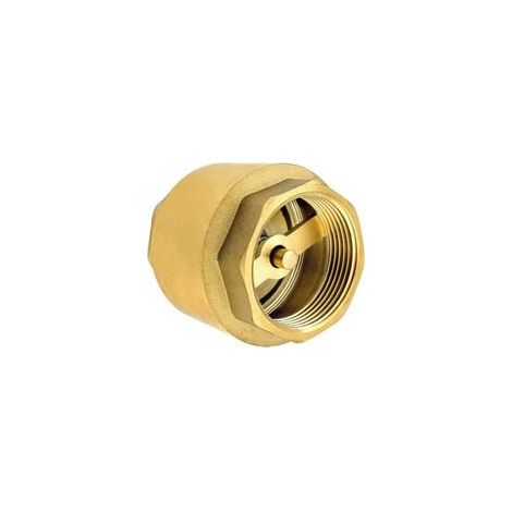 1 1/2 Zoll Rückschlagventil aus hochwertigem Messing, robust, rostfrei und wasserdicht für Pumpe, Brunnen, Waschmaschine, Garten, Regentonnen, Fass (1/2)