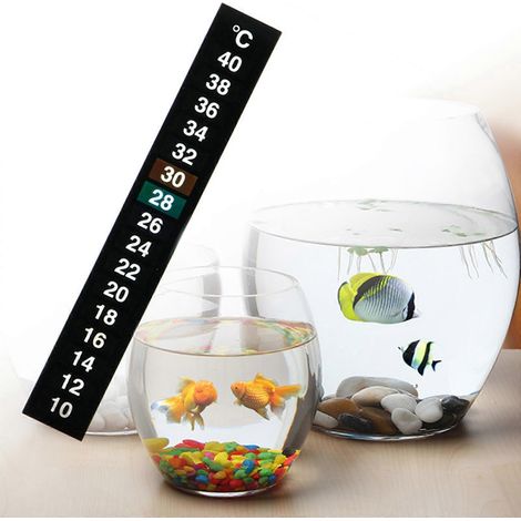 Thermomètre à bande adhésive pour brassage, thermomètre pour aquarium (1/4)