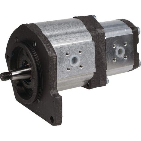 Pompa ad ingranaggi AZPNF-21-032/014LCXXX20KB-S0157 Bosch Rexroth BOSCH REXROTH 0510768315 (1/3)