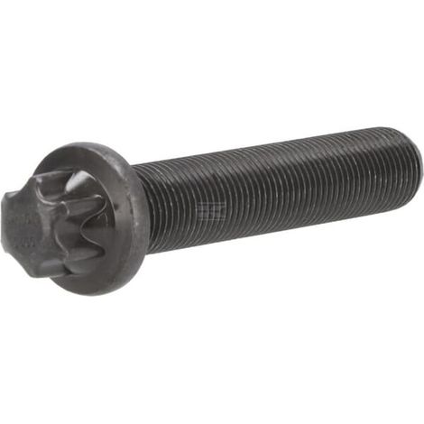 Tornillo de cabeza Torx DEUTZ 04253406