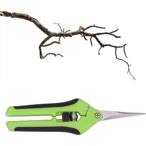 Sécateur à fleurs et à jardin en acier inoxydable à tête droite, conditionné sous emballage cartonné, sécateur de jardin, sécateur à tête droite pour le jardinage et les arbres fruitiers, sécateur hor (1/5)