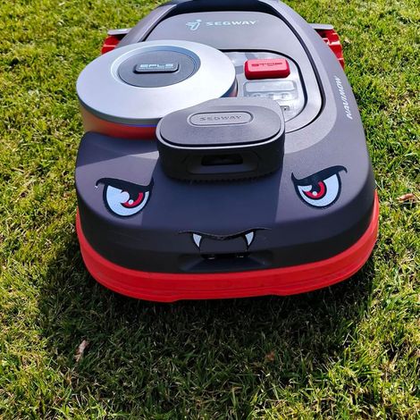 Autocollants aux yeux pour robot tondeuse à gazon – Autocollants résistants aux intempéries, décoration de robot tondeuse, tuning, autocollants pour robot tondeuse, Gardena, Navimow, Luba 2