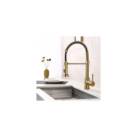 Robinet mitigeur extractible monotrou à ressort pour évier de cuisine, avec modes eau chaude et eau froide. (1/3)