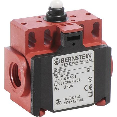 Bernstein 6085103100 BI2-U1Z W Fine corsa 240 V/AC 10 A Pistone Momentaneo IP65 1 pz.