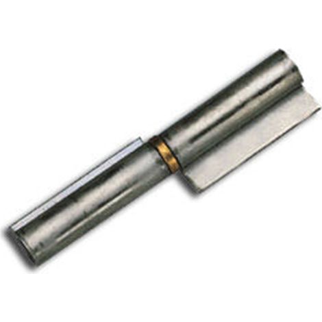 Charnière en acier poli AMIG Finstock 2/80 à souder