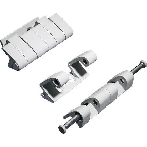 Rittal TS8 8800.190 Hinge Zinco pressofuso Grigio (RAL 7035) 4 pz.