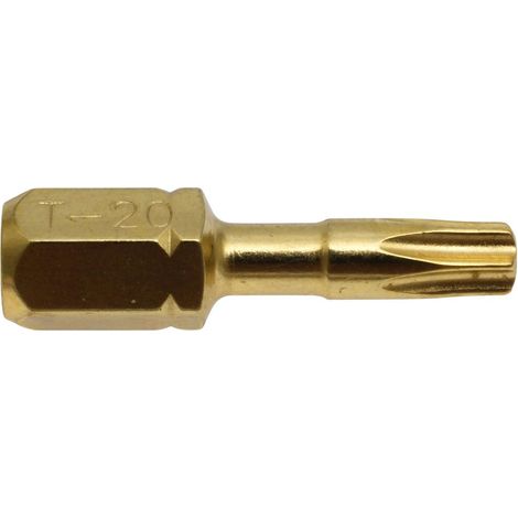 EMBOUT TORX20 25MM 2PCS MAKITA B-28416