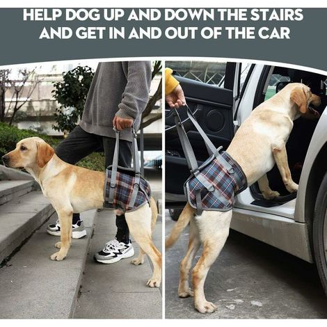 Harnais de soutien pour chien, pattes arrière pour animaux de compagnie, levage réglable, sangle de récupération pour chien, rééducation, aide canine pour la marche des chiens âgés (S) (1/4)