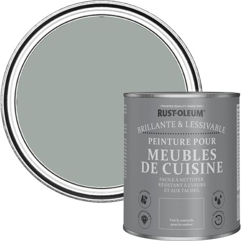 Peinture Grise pour Meubles de Cuisine, Finition Brillante - Gris Urbain 750ml (1/5)