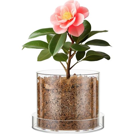 Transparenter Acryltopf – mit Abflusslöchern und Untersetzer – ideal für Orchideen, Sukkulenten oder Kakteen – elegantes Design