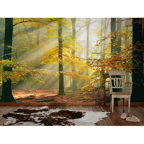 Papier-peint panoramique Forest Vert 5mlx2.50ml (1/2)