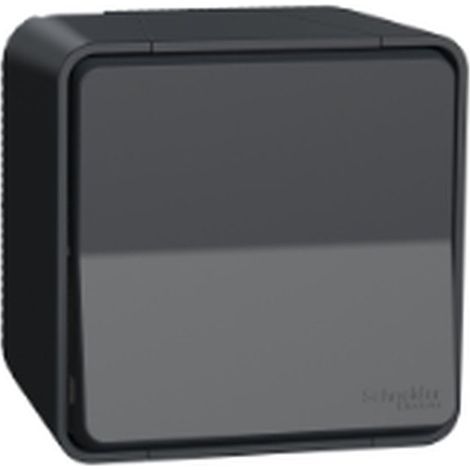 Interruptor seccionador MUREVA gris IP55 10 AX 250 V AC, montaje en superficie