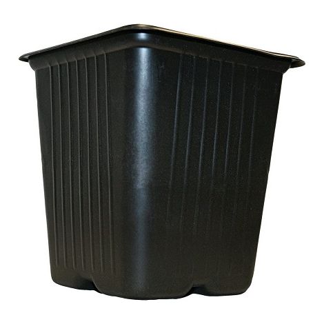 Vilmorin 5 vasi di plastica quadrati, 11 cm