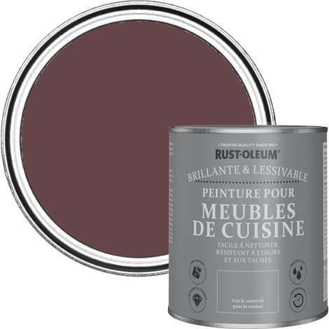 Peinture Violette pour Meubles de Cuisine, Finition Brillante - Mûre 750ml (1/5)