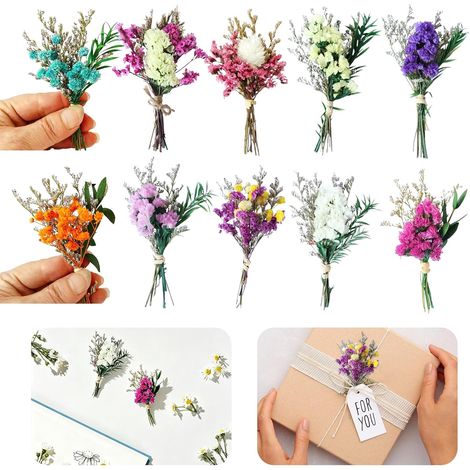 10 Pièces Mini Bouquet Fleurs Séchées, Petit Bouquets Naturels, Mélange de Fleurs Séchées, pour Loisirs Créatifs, Vases, Scrapbooking, Albums Photo et Décoration de Boîtes Cadeaux (1/5)