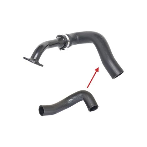 Gaine de suralimentation BUGIAD 88567 FIAT 51780784
