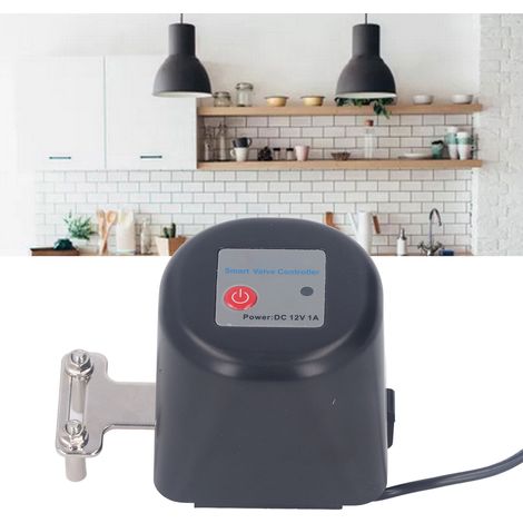 Verstellbare Halterung, sprachgesteuertes ZIGBEE-Kugelventil, Graffiti-Wasserventil für Smart Homes, AC100-240V-Gasventil nach europäischem Standard (1/5)