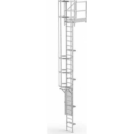 Echelle à crinoline avec porte - Hauteur à franchir de 11,9 à 12m - CRINO-SFP/101-7872 (1/5)