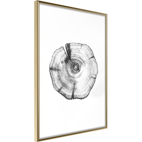 Affiche Murale Encadrée "Tree Rings" 30 x 42 cm Or
