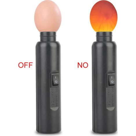 Incubateur miniature automatique à éclairage LED pour expériences (exclusif) (1/5)