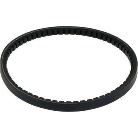 Courroie Crantée - 1 Pièce - 13x1280 mm - Pour Motobineuse - Compatible Modèles AX49 et 19GS (1/3)