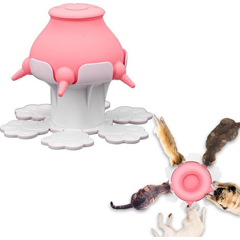 Biberons multiples pour chiots, chats et lapins - 300 ml - Bidon à lait mignon et compatible avec les animaux de compagnie (1/5)