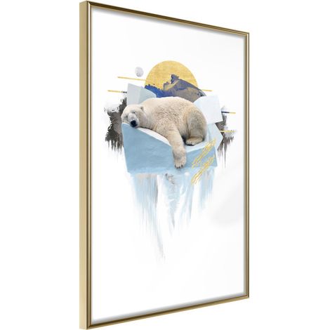 Affiche Murale Encadrée "King of the Arctic" 30 x 42 cm Or