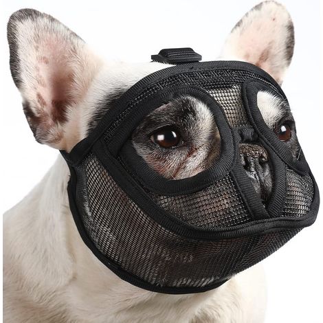 Muselière pour chien à museau court, muselière à maille respirante pour chiens à face plate (Bulldog français, Shih Tzu et Carlin), masque pour protéger la bouche du chien contre les morsures (1/5)