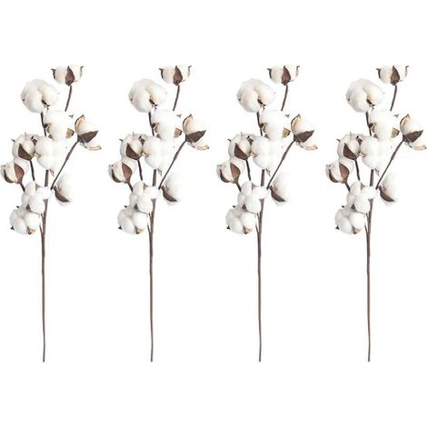 4 tiges de coton blanc naturel, 10 capsules de coton par tige, 53,3 cm, pics à fleurs, style campagnard, décoration. (1/5)