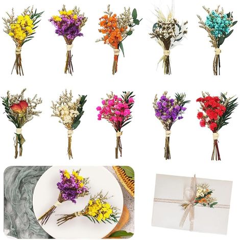 Lot de 10 petites fleurs séchées - Mini bouquet de fleurs séchées - Décoration - Fleurs de paille séchées naturelles - Décoration pour bricolage - Journal et (1/5)