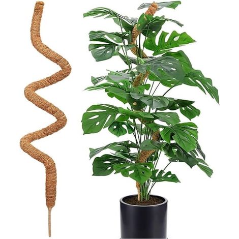 Moosstütze für Pflanzen, 120 cm, biegsamer Moosstab für Kletterpflanzen wie Monstera und Efeu, 1 Stück