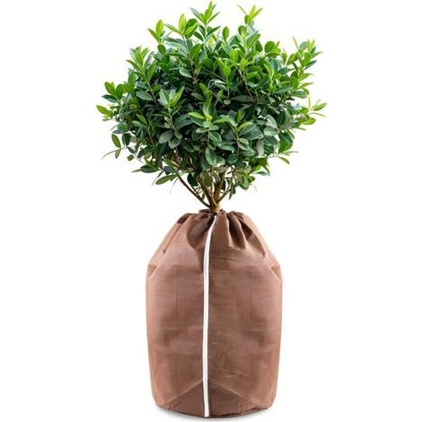 Housses d’hivernage pour Plantes en Pot, 40x40cm Housses hivernage, Housse Hivernage Plante, Housse d’Hivernage, Brun (1/5)