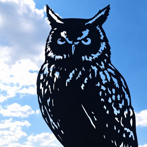 Girouette Indicateur de direction du vent - Hibou acier peint Emballage 28286cm 550g 28 × 28 × 6 cm 500 g – Livraison gratuite (1/5)