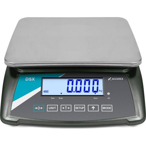 Balance Industrielle de Table Accurex Série DSX - Gram (1/4)