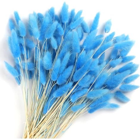 120 queues de lapin séchées bleues, herbe de queue de lapin pour décoration maison et mariage (1/5)