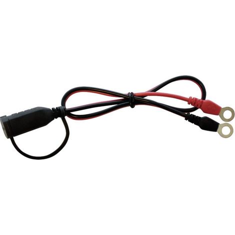 CTEK 56-260 Terminali ad occhiello collegamento rapido Capocorda ad anello M6 56260 (1/2)