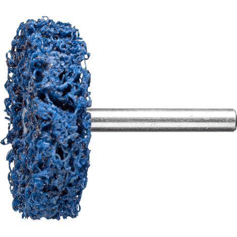 PFERD POLICLEAN PLUS PCLZY Reinigungsvlies Ø 50x13 mm Schaft-Ø 6 mm für grobe Reinigungsarbeiten (1/5)