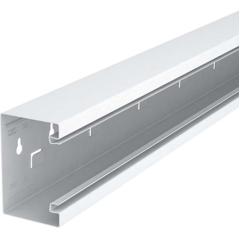 OBO Bettermann Vertr Geräteeinbaukanal o. OT symmetrisch GS-S70110RW 2 Stk (1/3)
